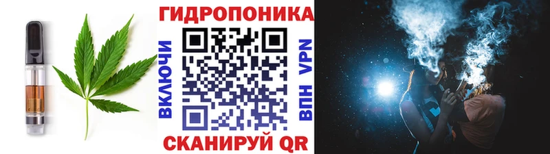 Cannafood марихуана  Купить закладки  Николаевск 