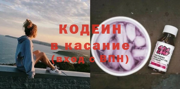 гашик Инта