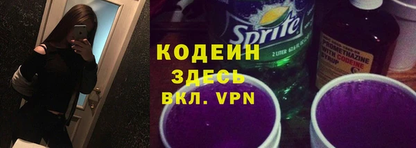 гашик Инта