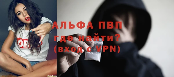 гашик Инта