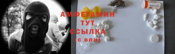 гашик Инта