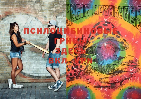 jwh Инсар